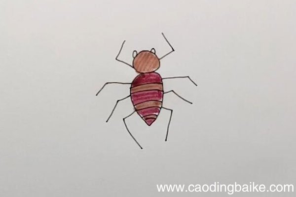 蜘蛛的简笔画