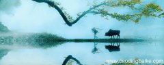 清明古诗翻译 清明这首古诗的翻译