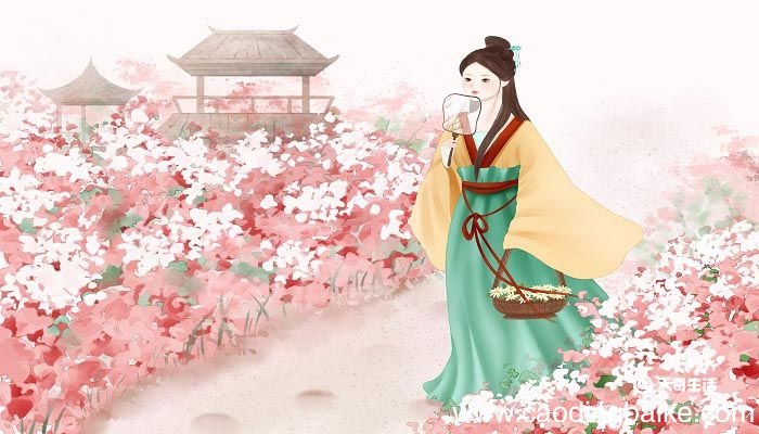 表达爱情的诗 表达爱情的诗句