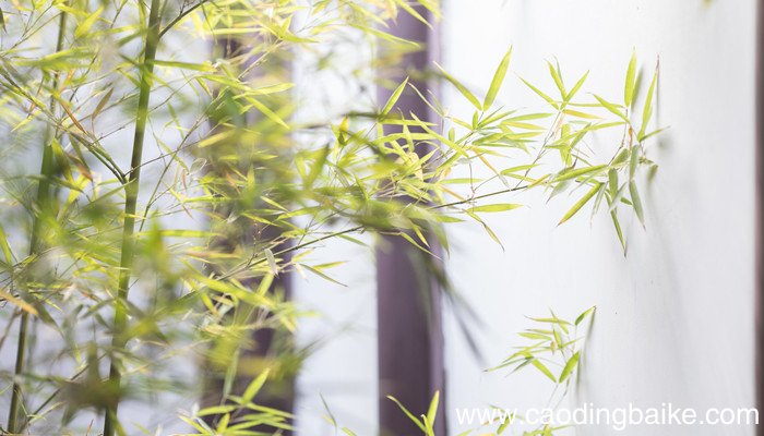 夫天者人之始也父母者人之本也翻译 夫天者人之始也父母者人之本也句式