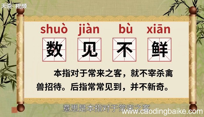数见不鲜的意思 什么是数见不鲜