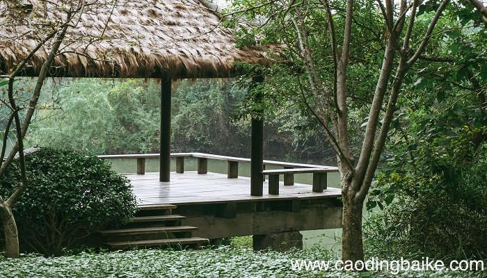 临安春雨初霁表现手法 临安春雨初霁的表现手法