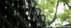 春夜喜雨的中心思想是什么 春夜喜雨的主旨是什么