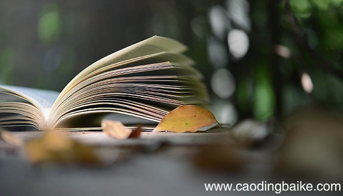 故乡今夜思千里霜鬓明朝又一年的意思 故乡今夜思千里霜鬓明朝又一年意思