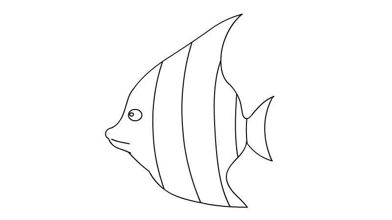 热带鱼简笔画 热带鱼简笔画步骤