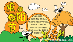 小学四年级的重阳节手抄报 重阳节的手抄报怎么画