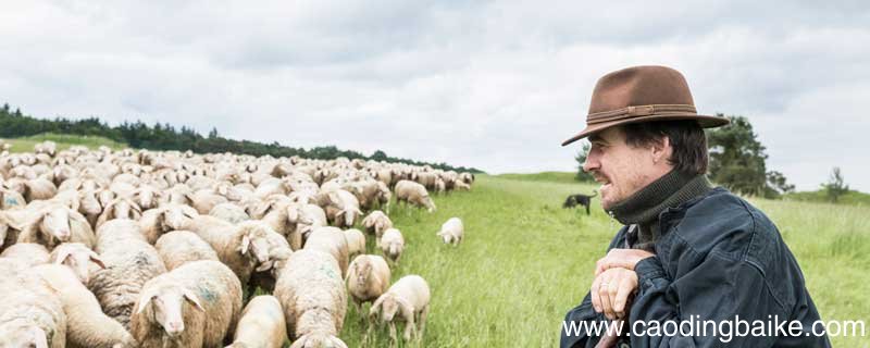 植树的牧羊人环境描写 植树的牧羊人环境描写的作用