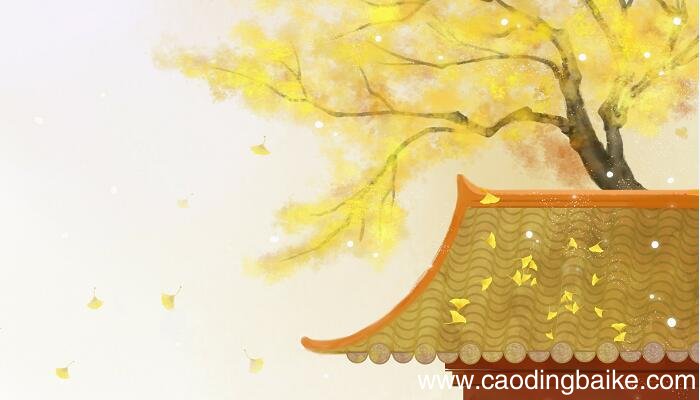 野望的中心思想是什么 概括野望的中心思想