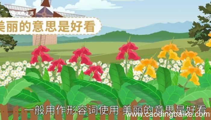 美丽的意思 美丽意思是什么