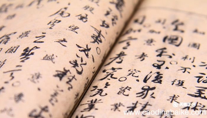 甴曱怎么读 曱甴是什么意思啊
