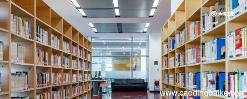 甴曱怎么读 曱甴是什么意思啊