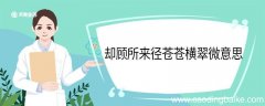 却顾所来径苍苍横翠微意思 却顾所来径苍苍横翠微翻译