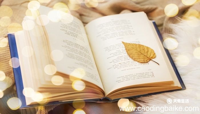 鲁迅第一篇用现代体式创作的白话短篇小说是什么 鲁迅作品和简介
