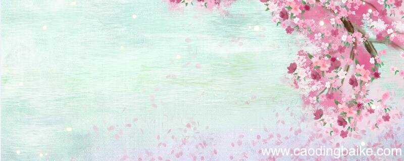 春晓描写的是春天什么时间的景色 春晓的晓是早上还是晚上