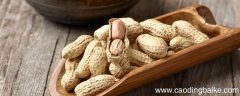 落花生课文解析 落花生这篇课文的讲解