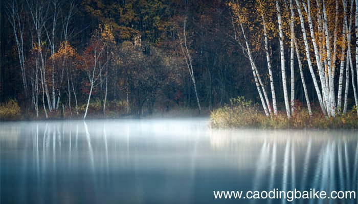 读了池子与河流你懂得了什么道理 池子和河流告诉我们什么道理