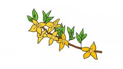 迎春画花简笔画画法迎春画花简笔画步骤