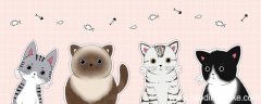 小猫怎么画简单又可爱 小猫咪怎么画才可爱