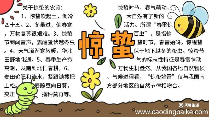 惊蛰节气手抄报 惊蛰节气手抄报画法