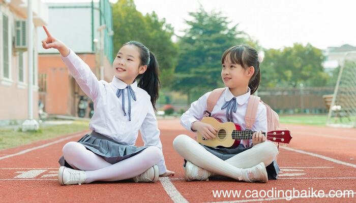 学前儿童音乐技能类型有 学前教育音乐技能类型有