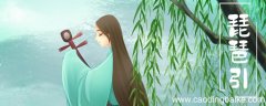 琵琶行的小序主要写了什么内容 琵琶行小序概括