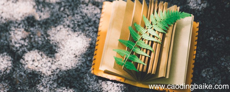 脚比路长告诉我们什么道理 脚比路长什么寓意