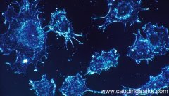 除什么外,生物都是由细胞构成的 什么不是由细胞构成的