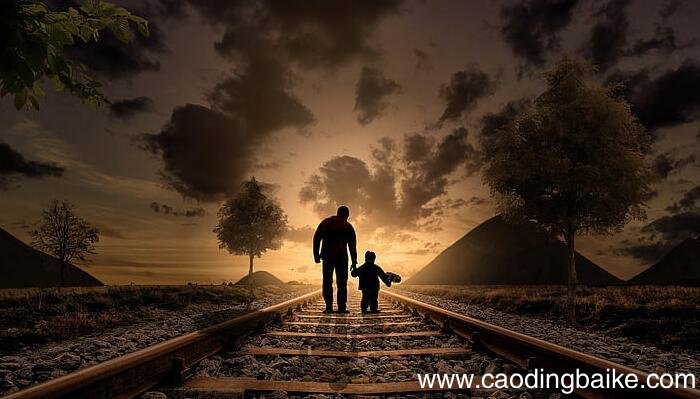 父爱之舟主要内容是什么 父爱之舟主要内容