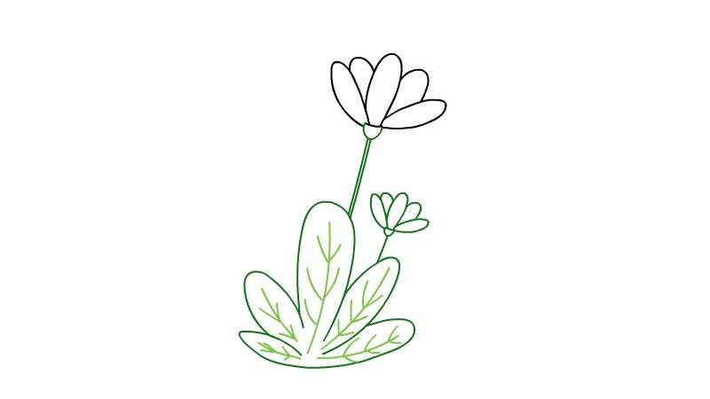 植物简笔画的步骤植物简笔画的画法