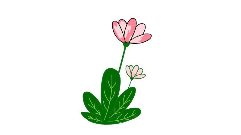 植物简笔画的步骤植物简笔画的画法