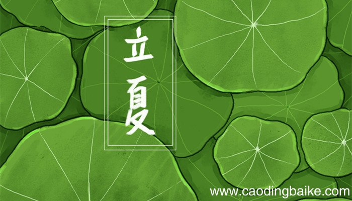 二十四节气立夏的诗词 有哪些描写立夏的诗