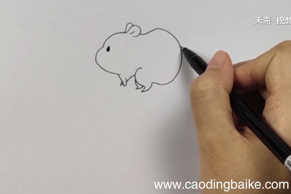 小仓鼠简笔画