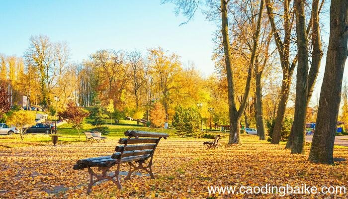 秋天的雨主要讲了什么内容 秋天的雨概写课文主要内容