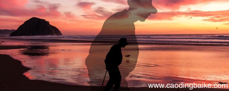 亷颇老矣尚能饭否意思永遇乐.京口北固亭怀古赏析