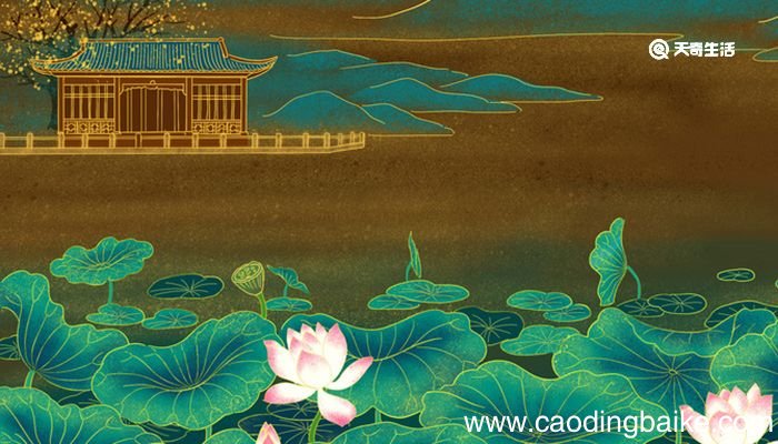 爱莲说中莲花的品质 爱莲说中莲花的美好之处