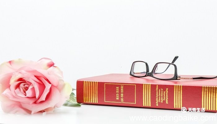 宁缺毋滥的同义词 与宁缺毋滥相近的词语