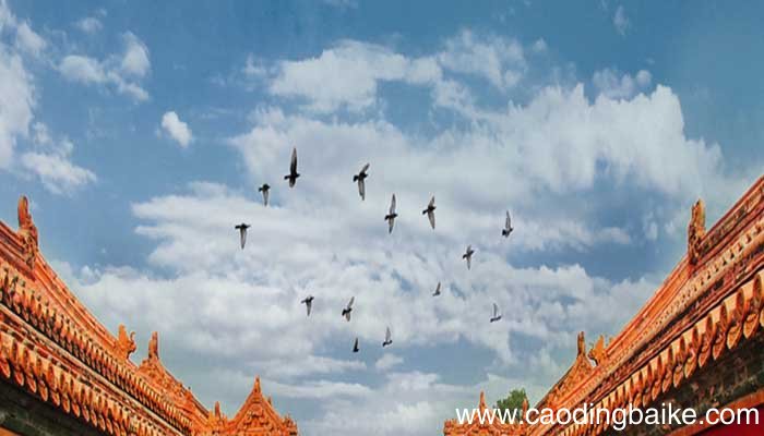 希君生羽翼，一化北溟鱼全诗 全诗译文