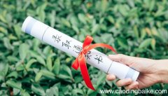 什么叫平行志愿平行志愿叫什么