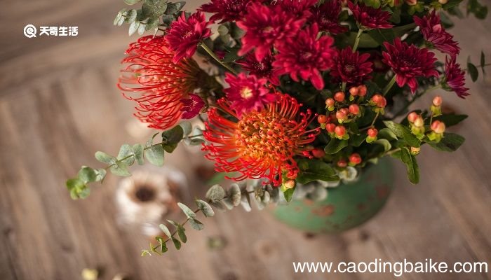 丑菊这篇短文告诉我们一个什么道理 丑菊这篇短文告诉什么道理