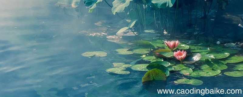 朱自清荷塘月色在清华哪里 朱自清的荷塘月色是在清华哪里