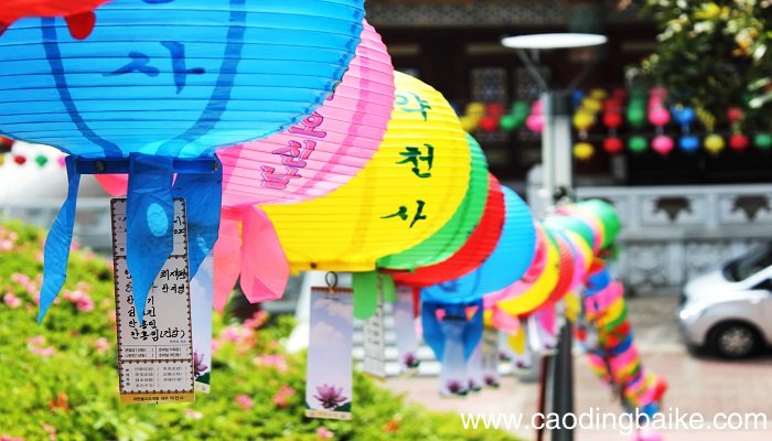 三人同日来,喜见百花开,谜底是什么三人同日来,喜见百花开,谜底是啥
