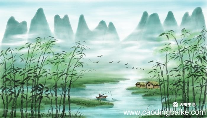 竹子代表什么人的精神品质 竹子代表什么人的精神品质是什么人
