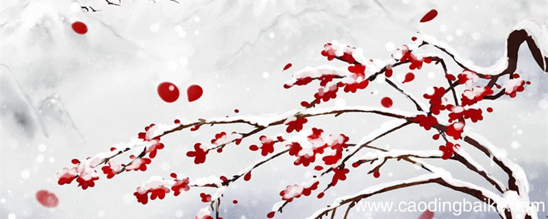 山园小梅翻译和赏析山园小梅的译文