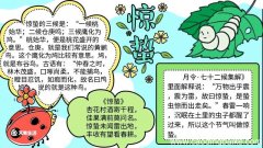 惊蛰手抄报简单漂亮 惊蛰手抄报简单