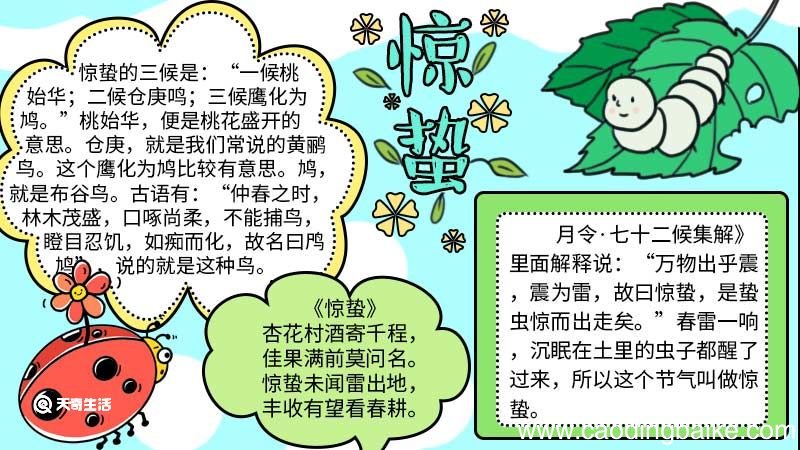 惊蛰手抄报简单漂亮 惊蛰手抄报简单
