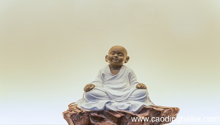 身是菩提树心如明镜台时时勤拂拭莫使惹尘埃是什么意思 身是菩提树的意思
