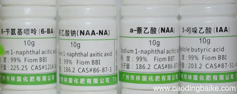 吲哚乙酸的作用和用法 吲哚乙酸用法和用量