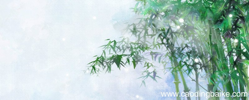 独坐幽篁里全诗的意思 独坐幽篁里是哪首诗