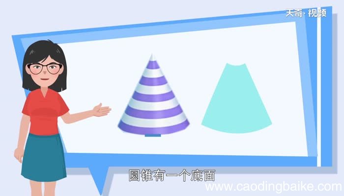 圆柱与圆锥的特点圆柱与圆锥的特征