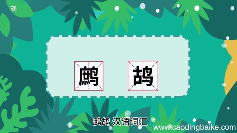 鹧鸪的意思 鹧鸪什么意思